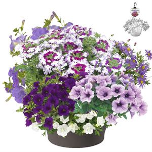 Afbeelding van HP30 XXL Mix 10